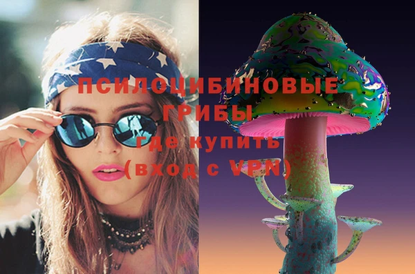 ГАЛЛЮЦИНОГЕННЫЕ ГРИБЫ Армянск