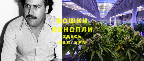 ГАЛЛЮЦИНОГЕННЫЕ ГРИБЫ Аркадак