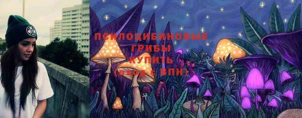 ГАЛЛЮЦИНОГЕННЫЕ ГРИБЫ Армянск