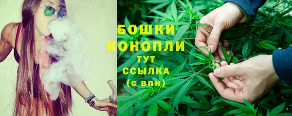 ГАЛЛЮЦИНОГЕННЫЕ ГРИБЫ Аркадак