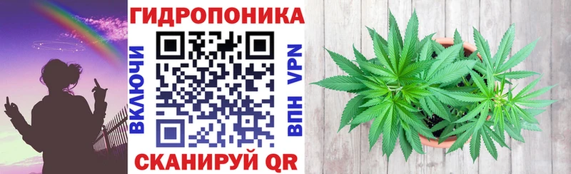 Шишки марихуана ГИДРОПОН  где найти   мега вход  Полярный 